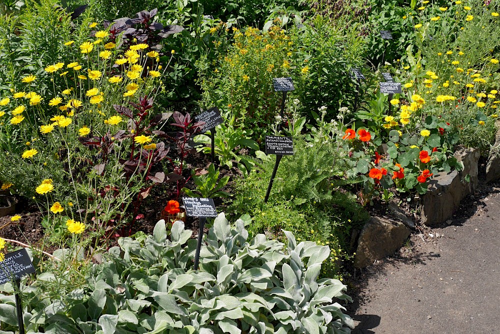 Weaver's Garden